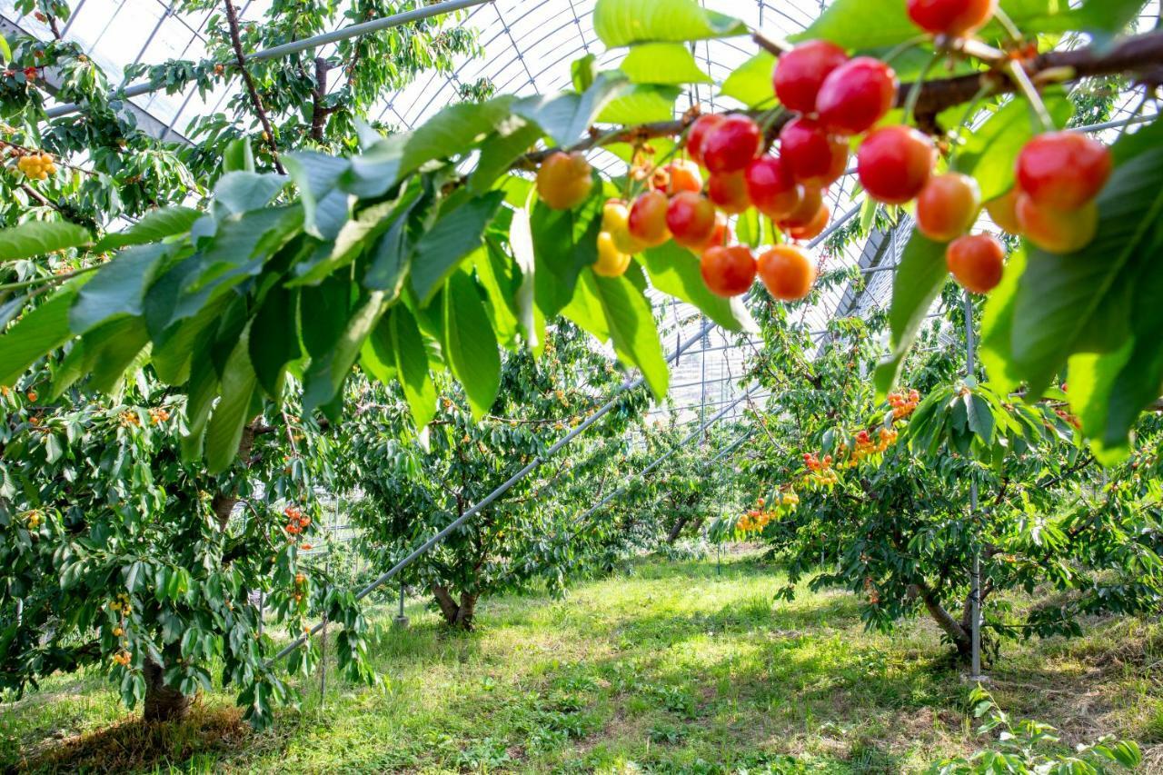 Fruit Park Fujiya Hotel Yamanashi  Extérieur photo